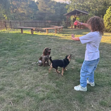 Dom Na Szlaku Mazury Dom wakacyjny *